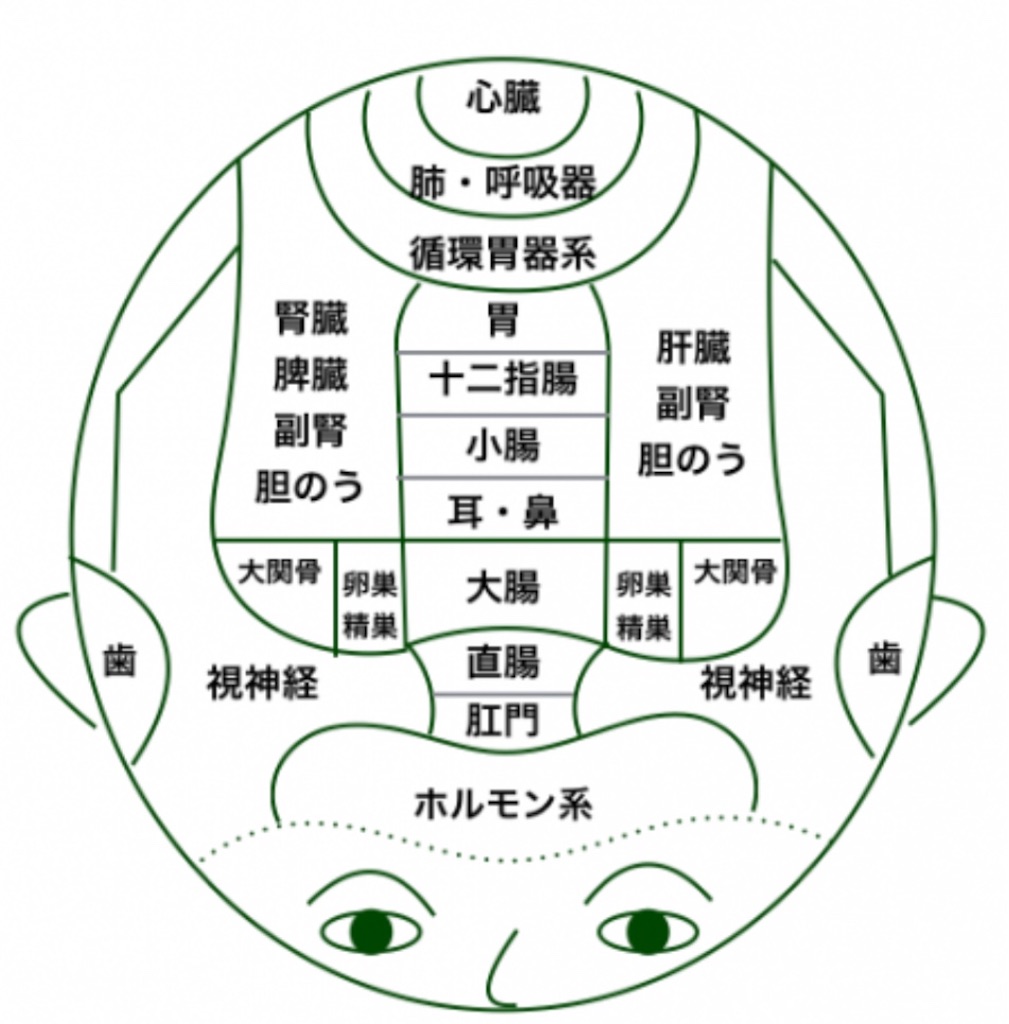Azプレゼンツ 以外と知らない 美容の小話vol 2 頭のツボについて お知らせ Az Az Bambini