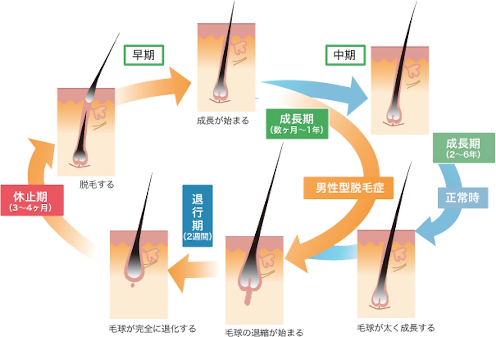 f:id:azkawagoe:20210808205842j:image f:id:azkawagoe:20210808205842j:image