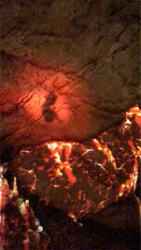f:id:azmaya:20200915000334p:image