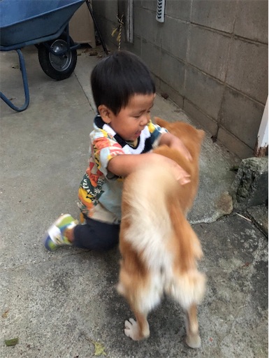 f:id:azmaya:20201011053728j:image f:id:azmaya:20201011053728j:image
