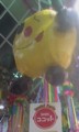 [asagayatanabata2013]