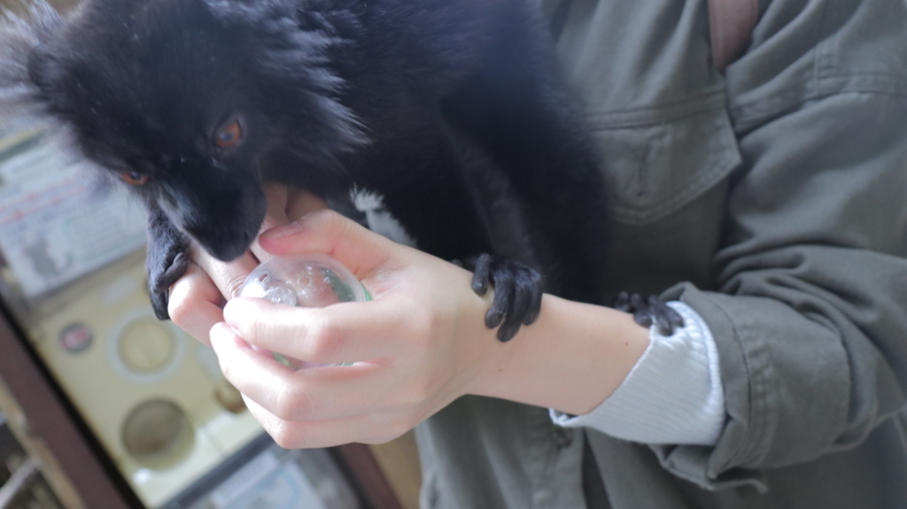 f:id:azooooki:20171122163740j:plain