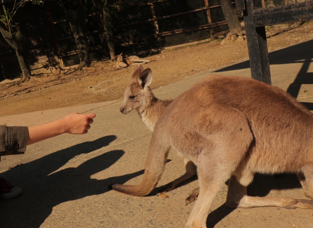 f:id:azooooki:20171122164547j:plain