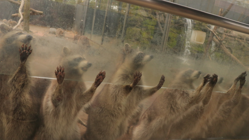 f:id:azooooki:20171122183104j:plain