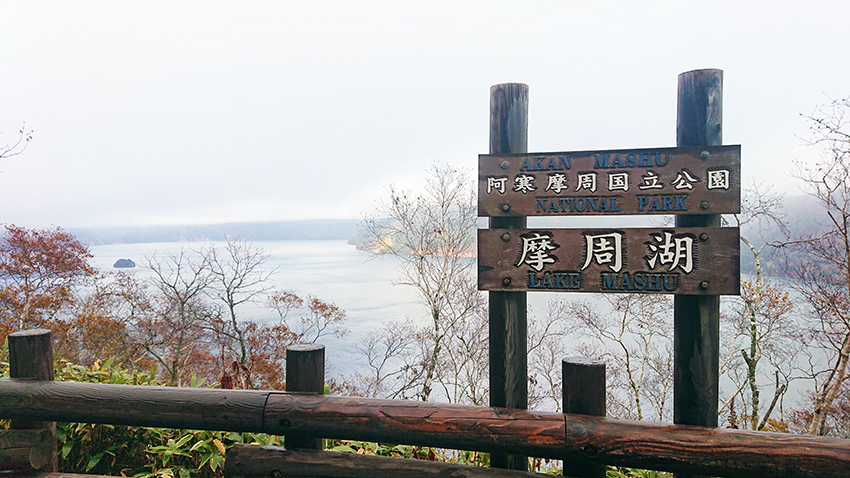 f:id:azu-miffy:20211027130005j:plain