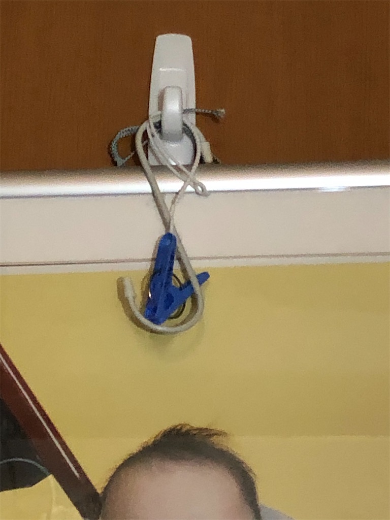 f:id:azuazuazukina:20200325003504j:image