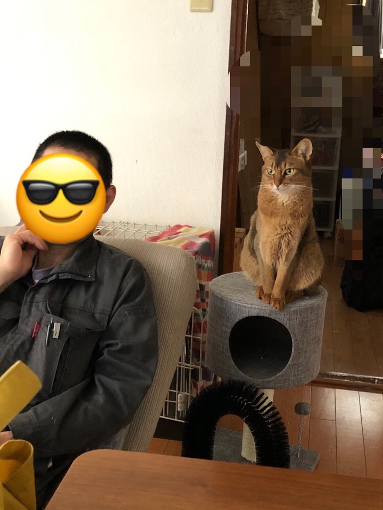 f:id:azuazuazukina:20200614091925j:image