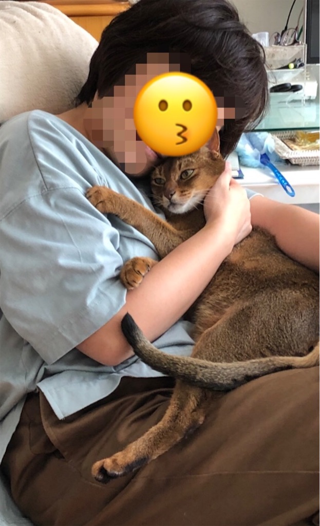 f:id:azuazuazukina:20200922145231j:image