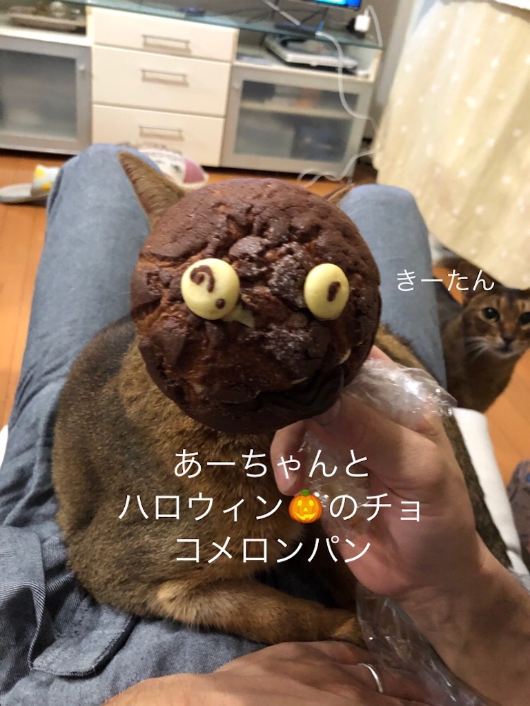 f:id:azuazuazukina:20201005102010j:image