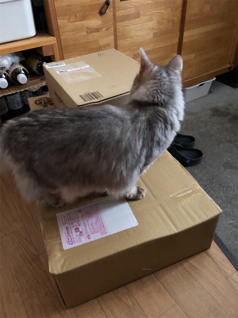 f:id:azuazuazukina:20201208123530j:image