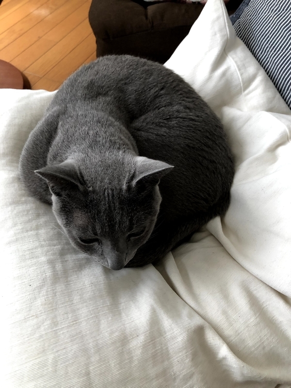 f:id:azuazuazukina:20201210143418j:plain