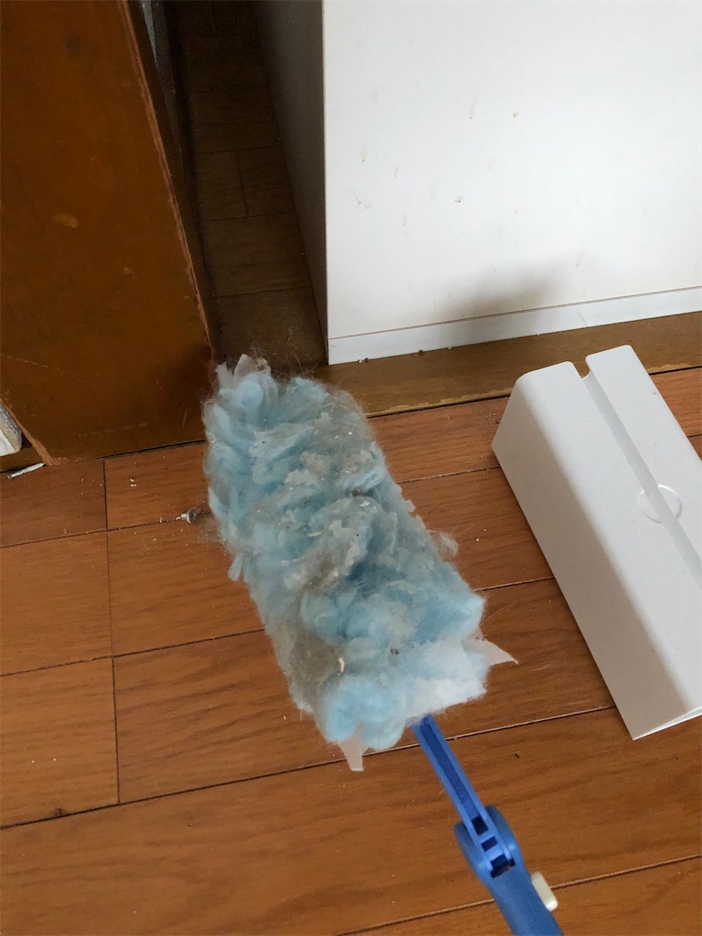 f:id:azuazuazukina:20201217181725j:image