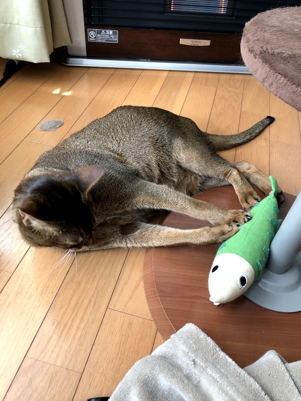 f:id:azuazuazukina:20210325101155j:plain