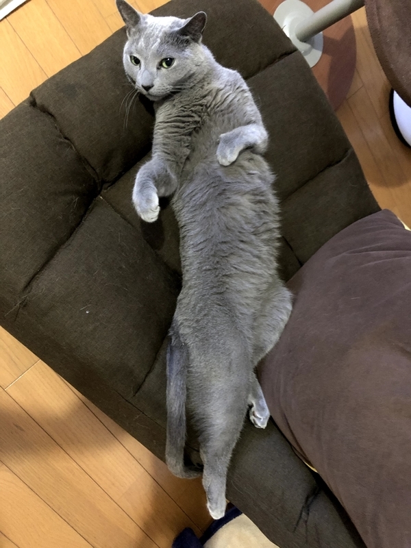 f:id:azuazuazukina:20210708192038j:plain