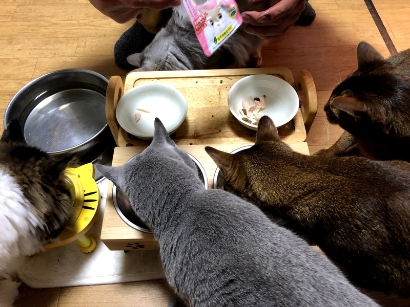 f:id:azuazuazukina:20210708192107j:plain