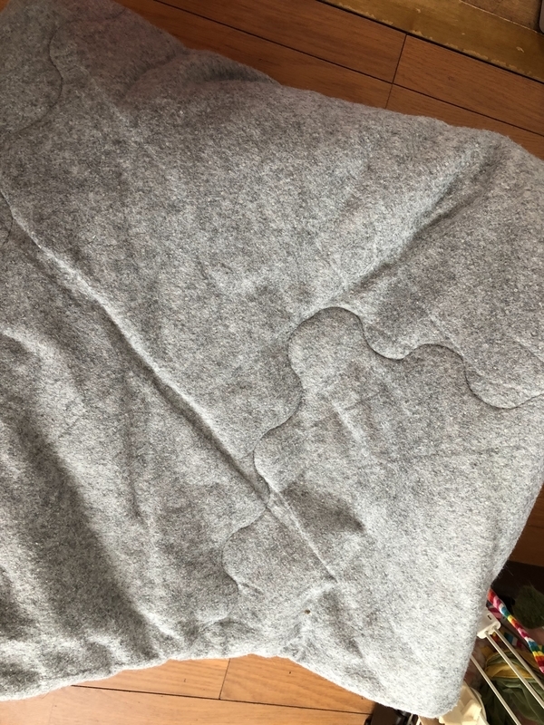 f:id:azuazuazukina:20220120094853j:plain