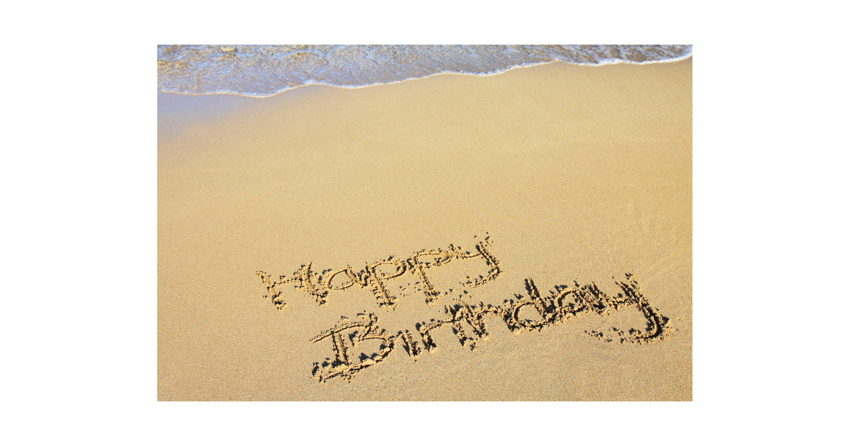 寂しい誕生日 ニトリへ行く マダムあずきの意識低い系ブログ