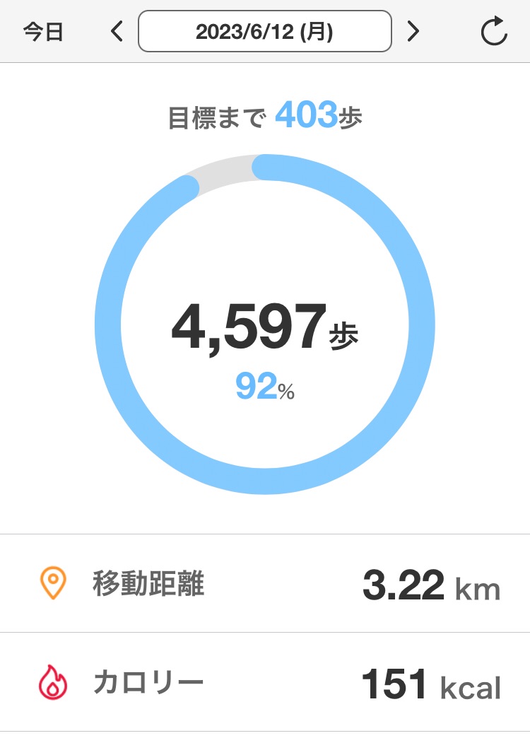 f:id:azuazuazukina:20230612221357j:image