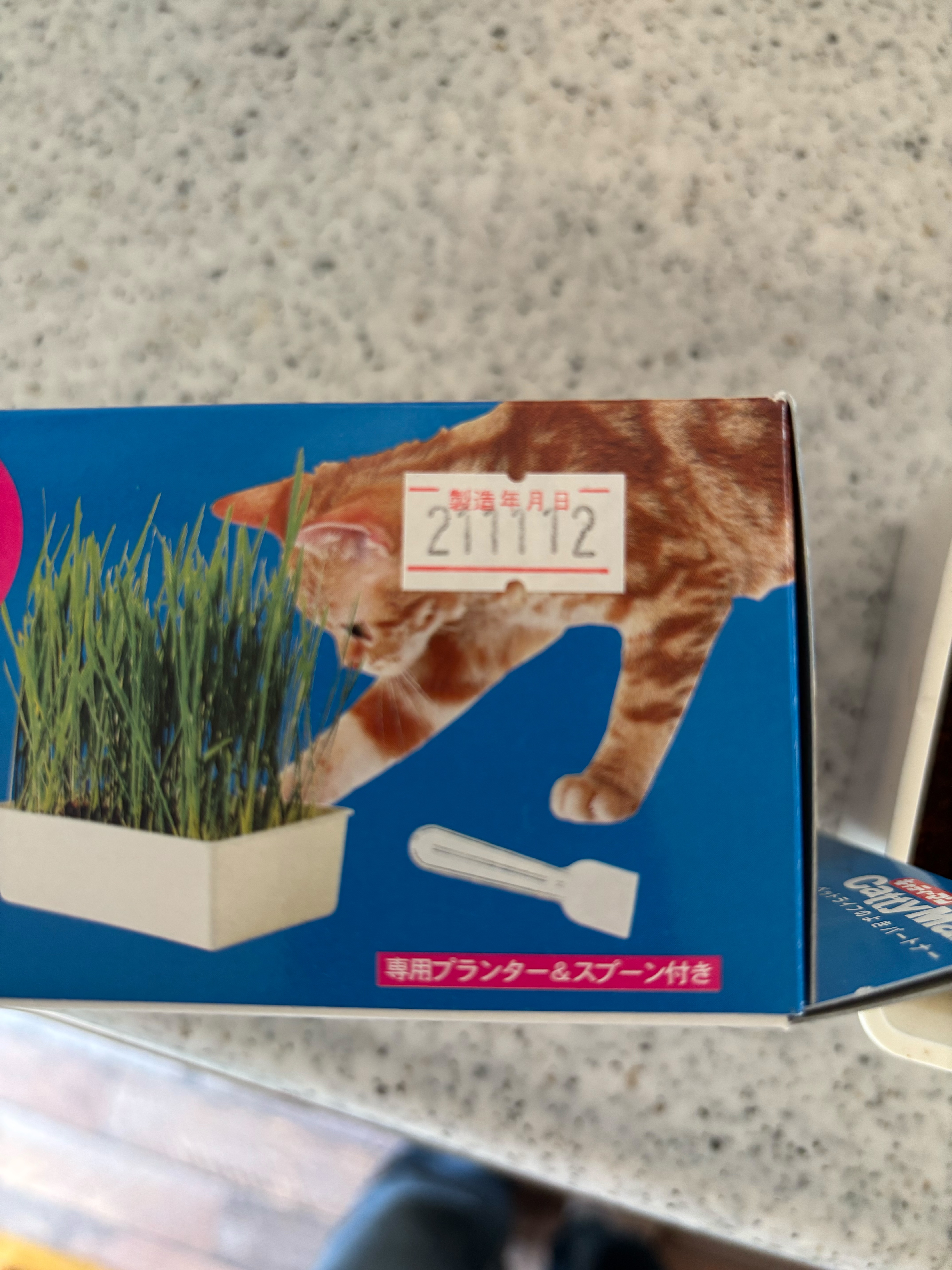 f:id:azuazuazukina:20250523105906j:image f:id:azuazuazukina:20250523105906j:image