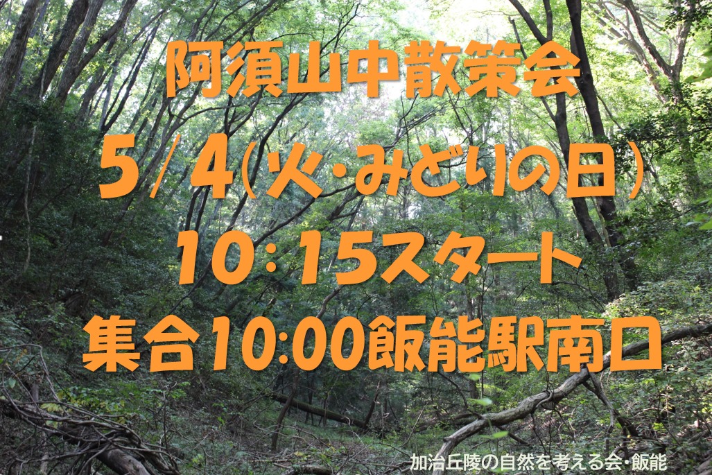 f:id:azuhanno:20210502063948j:plain