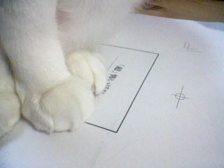 f:id:azuki-glg:20090108002511j:image f:id:azuki-glg:20090108002511j:image