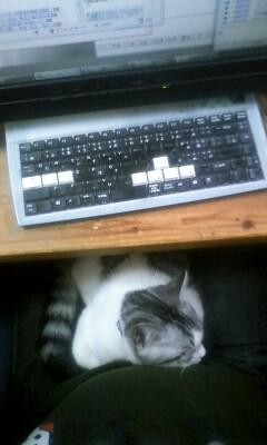 f:id:azuki-glg:20100619081517j:image f:id:azuki-glg:20100619081517j:image