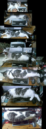f:id:azuki-glg:20110504123455j:image
