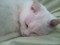 20120421145547
