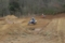 20130413140717