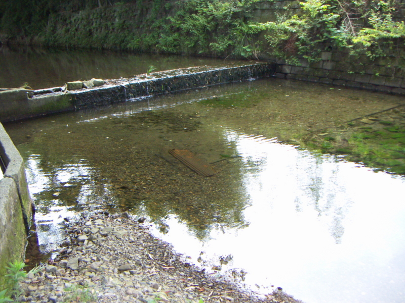 f:id:azuki250r:20130722150437j:image:w500