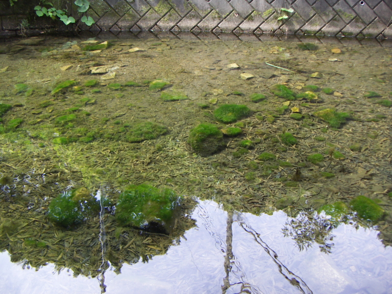 f:id:azuki250r:20130722150509j:image:w500