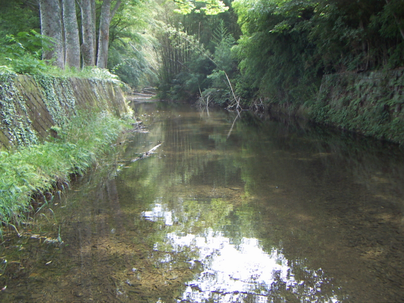 f:id:azuki250r:20130722150616j:image:w500