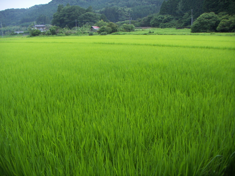 f:id:azuki250r:20130722151013j:image:w500