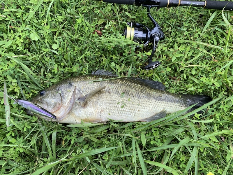 f:id:azuki250r:20190707131255j:image