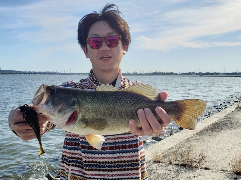 f:id:azuki250r:20191118221300j:image f:id:azuki250r:20191118221300j:image