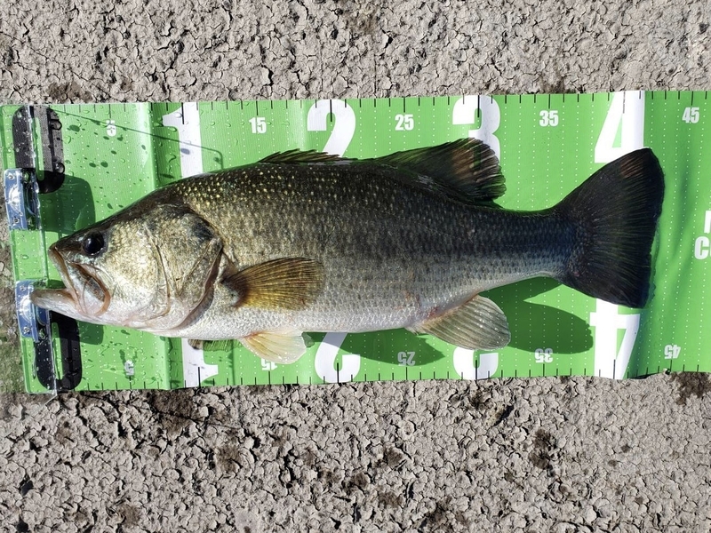 f:id:azuki250r:20191118221351j:image f:id:azuki250r:20191118221351j:image