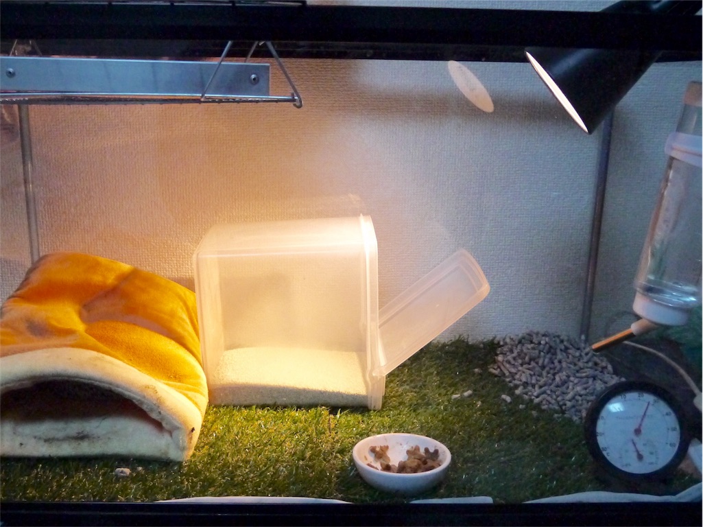 f:id:azukihog:20170329212036j:image f:id:azukihog:20170329212036j:image