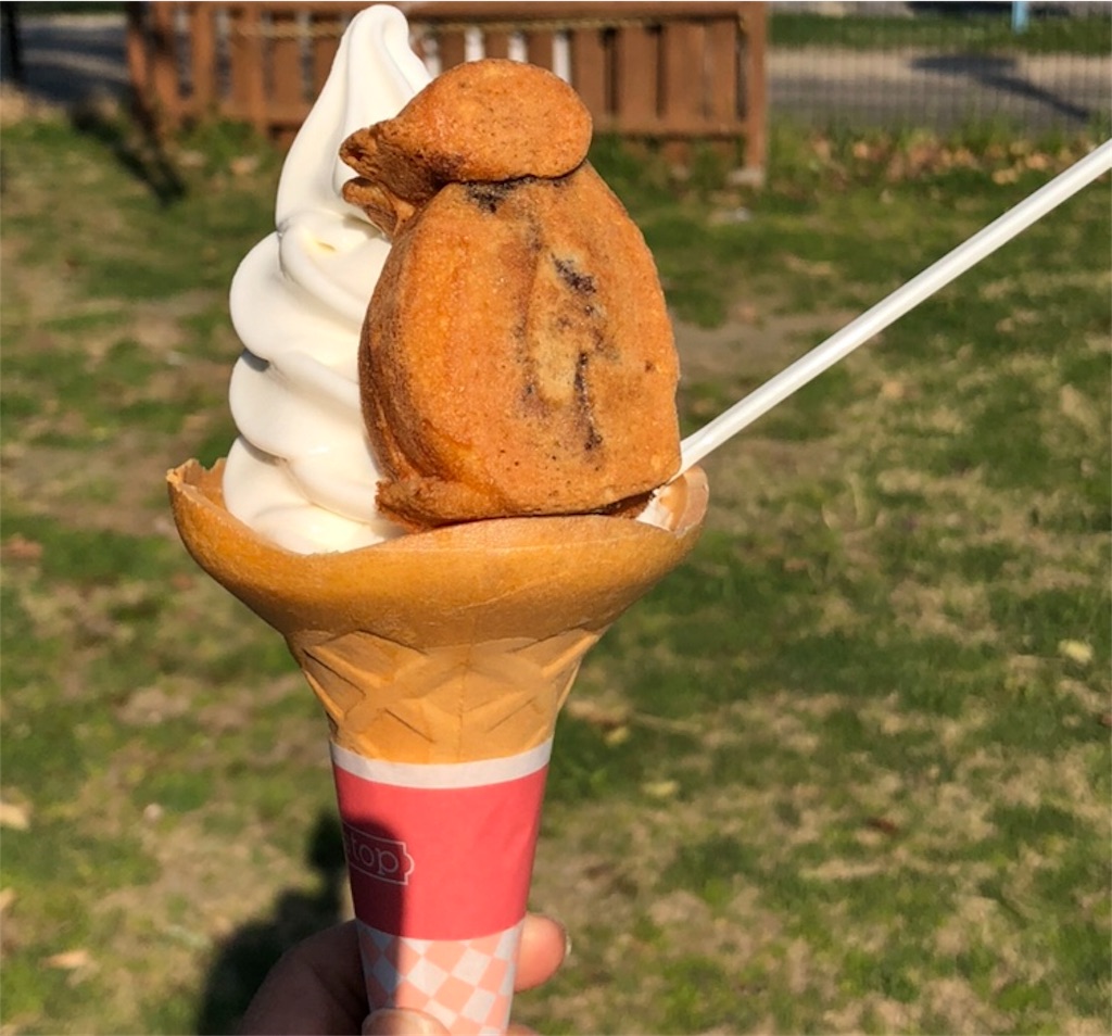 f:id:azukimamax:20190429154757j:image