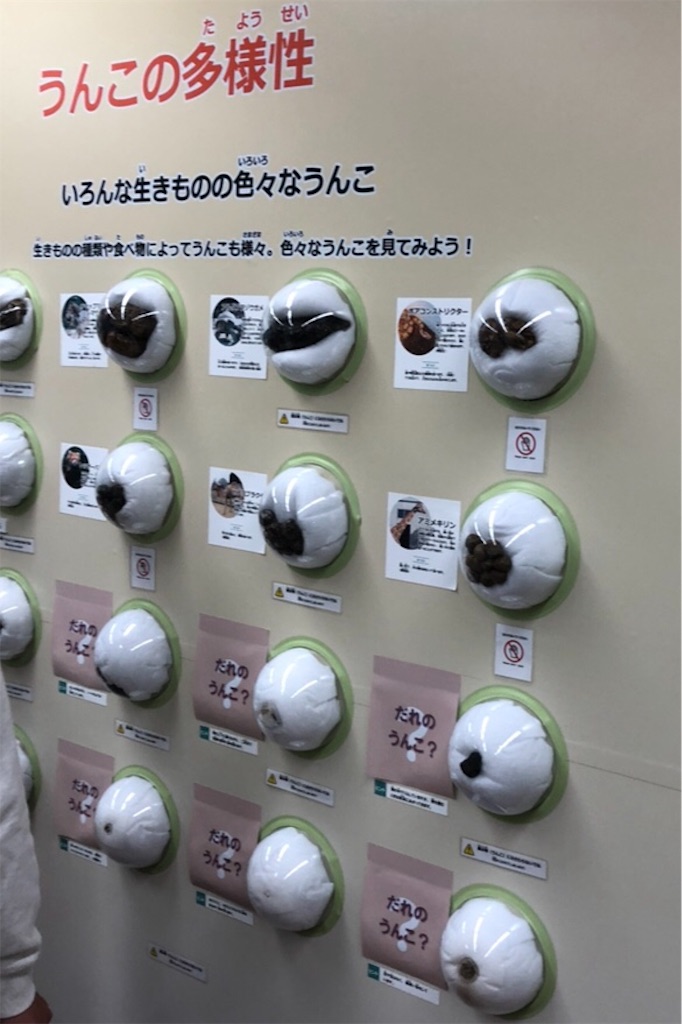 f:id:azukimamax:20190429155901j:image