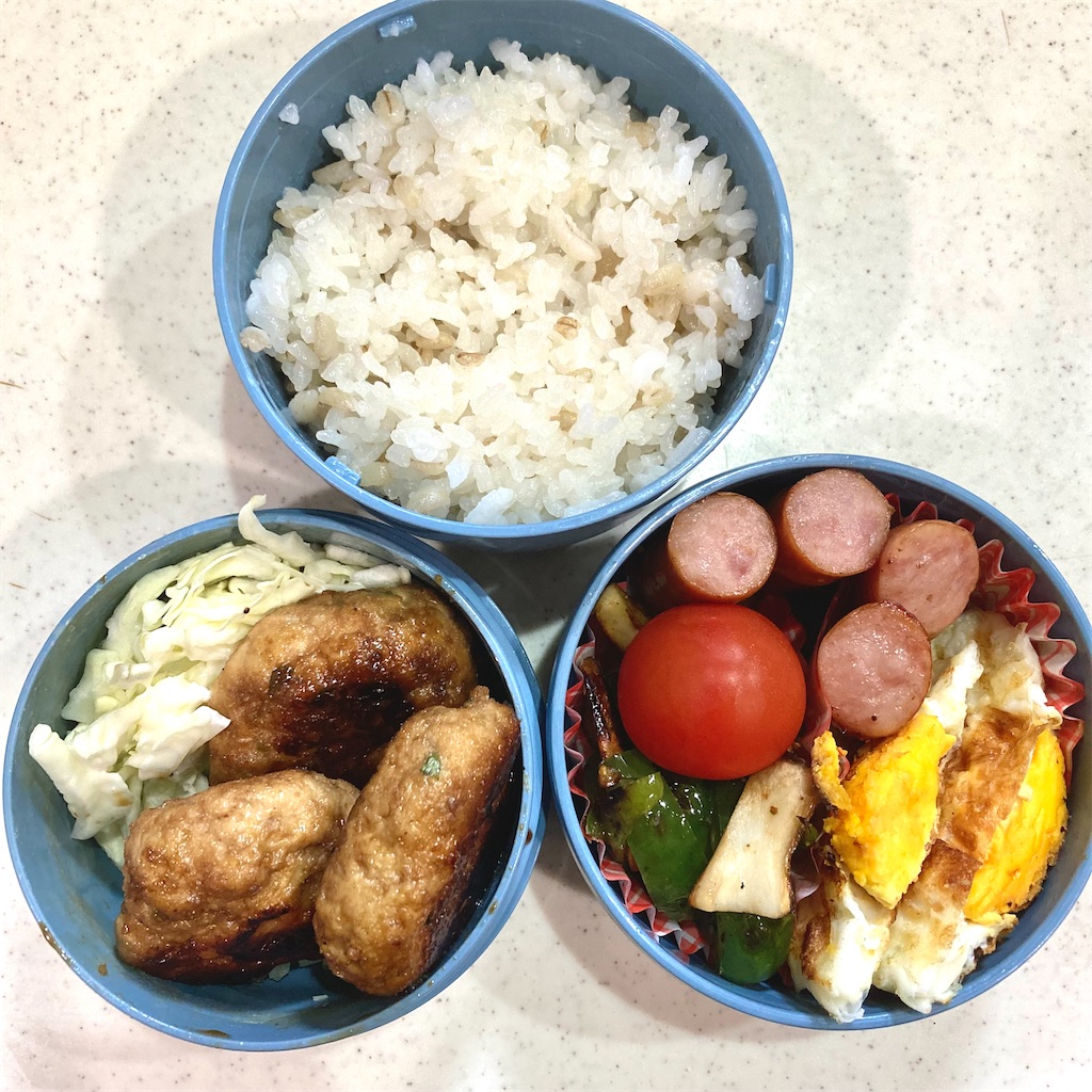 お弁当 鶏豆腐ハンバーグとウインナー食べ比べ弁当 アラフォー主婦たまこの日記