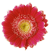 f:id:azukitomeron:20210621224740p:plain