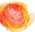 f:id:azukitomeron:20210622225846p:plain