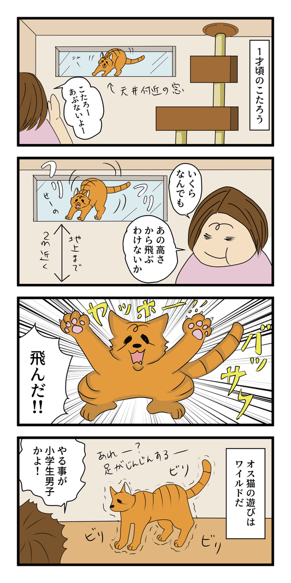 f:id:azukota:20210801124916p:plain