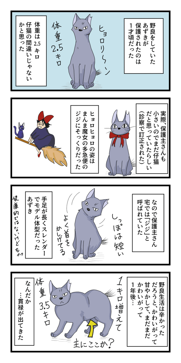 f:id:azukota:20210801131719p:plain