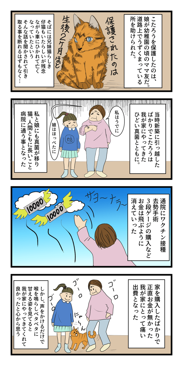 f:id:azukota:20210801140757p:plain