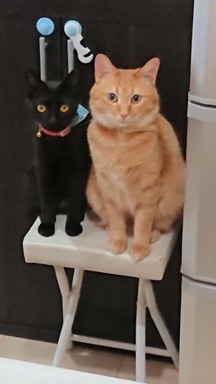 f:id:azukota:20210809011015j:plain