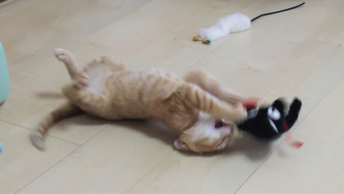 f:id:azukota:20210830162346j:plain