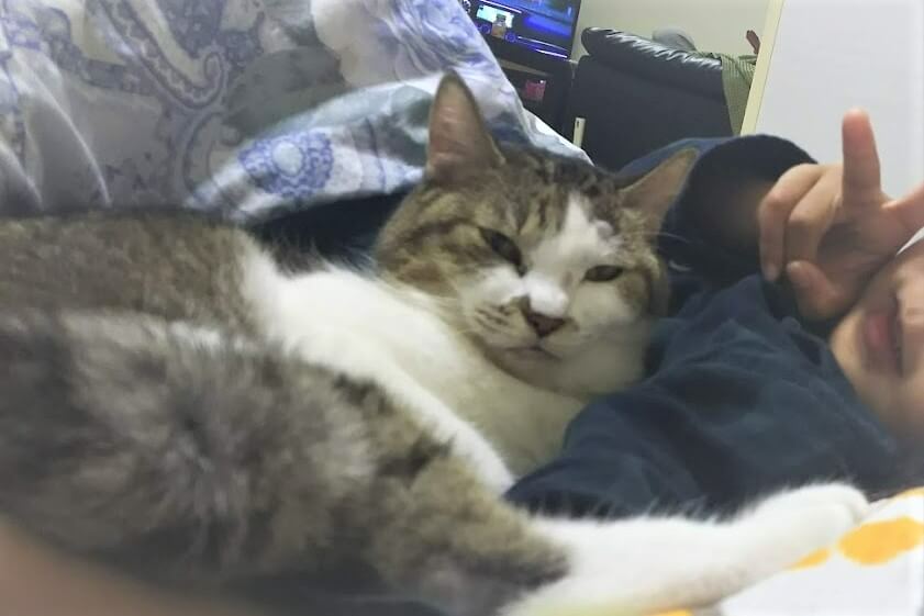 f:id:azukota:20210918123707j:plain