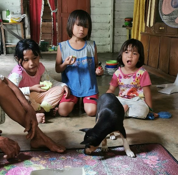 f:id:azulaquarium:20211018211910j:plain