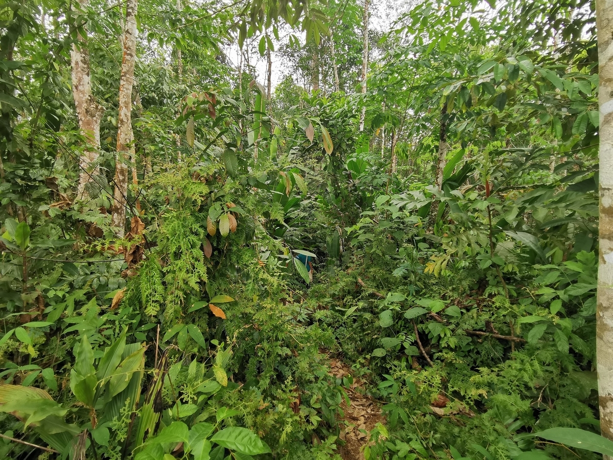 f:id:azulaquarium:20211018212050j:plain